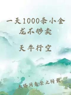 一天1000条小金龙不够卖