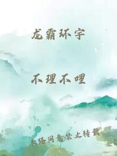 龙霸环宇