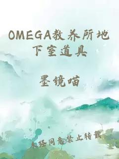 OMEGA教养所地下室道具