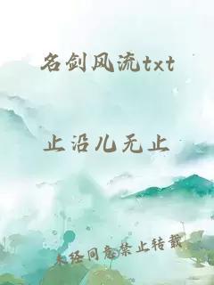 名剑风流txt