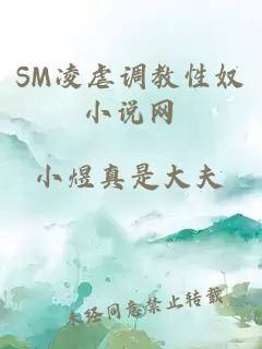 SM凌虐调教性奴小说网