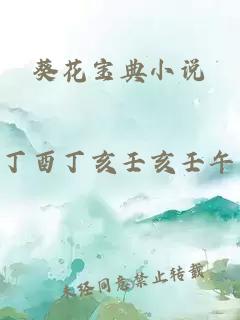 葵花宝典小说