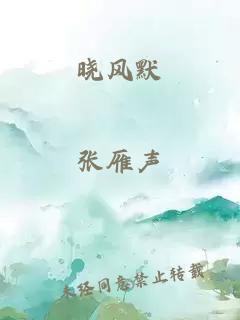 晓风默