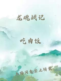 龙魂战记