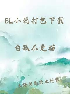 BL小说打包下载