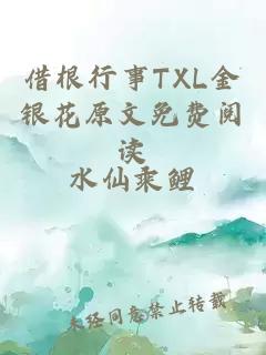 借根行事TXL金银花原文免费阅读