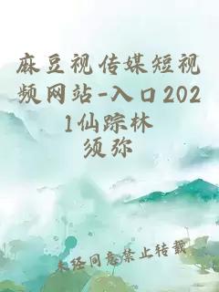 麻豆视传媒短视频网站-入口2021仙踪林