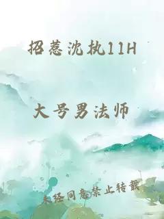 招惹沈执11H