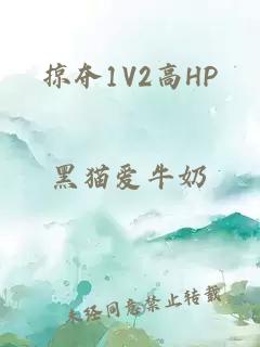 掠夺1V2高HP