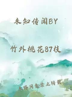 未知传闻BY