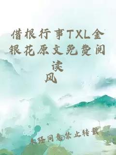 借根行事TXL金银花原文免费阅读