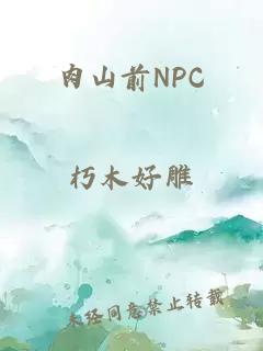 肉山前NPC