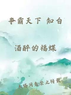 争霸天下 知白