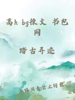 高h bg辣文 书包网