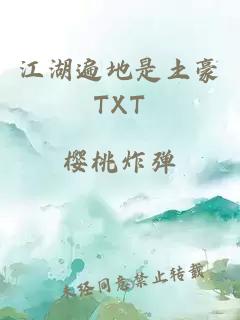 江湖遍地是土豪TXT