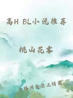 高H BL小说推荐