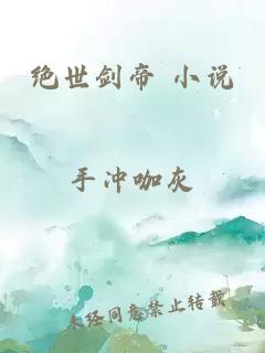 绝世剑帝 小说