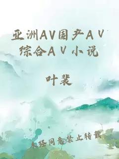 亚洲AV国产AⅤ综合AⅤ小说