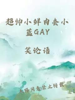 超帅小鲜肉套小蓝GAY