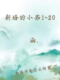 新婚的小茹1~20