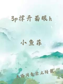 3p撑开菊眼h