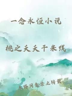 一念永恒小说