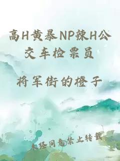 高H黄暴NP辣H公交车检票员