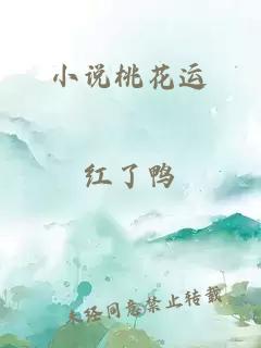 小说桃花运