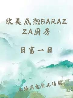 欧美成熟BARAZZA厨房