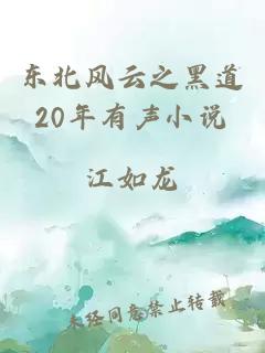 东北风云之黑道20年有声小说